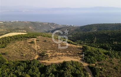 CB EAGLE'dan NARLI'DA 12.422 m² SATILIK SOSYAL TESİS İMARLI ARSA