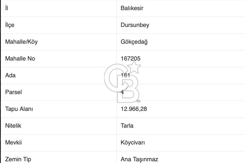 CB EAGLE'dan DURSUNBEY GÖKÇEDAĞ'DA 12.966 m² SATILIK TARLA