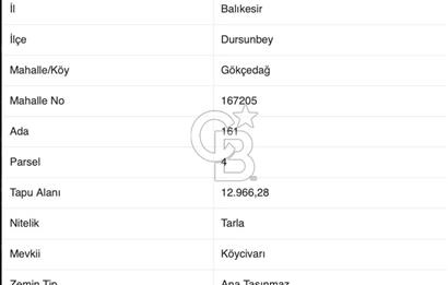 CB EAGLE'dan DURSUNBEY GÖKÇEDAĞ'DA 12.966 m² SATILIK TARLA