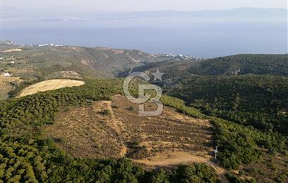 CB EAGLE'dan NARLI'DA 12.422 m² SATILIK SOSYAL TESİS İMARLI ARSA