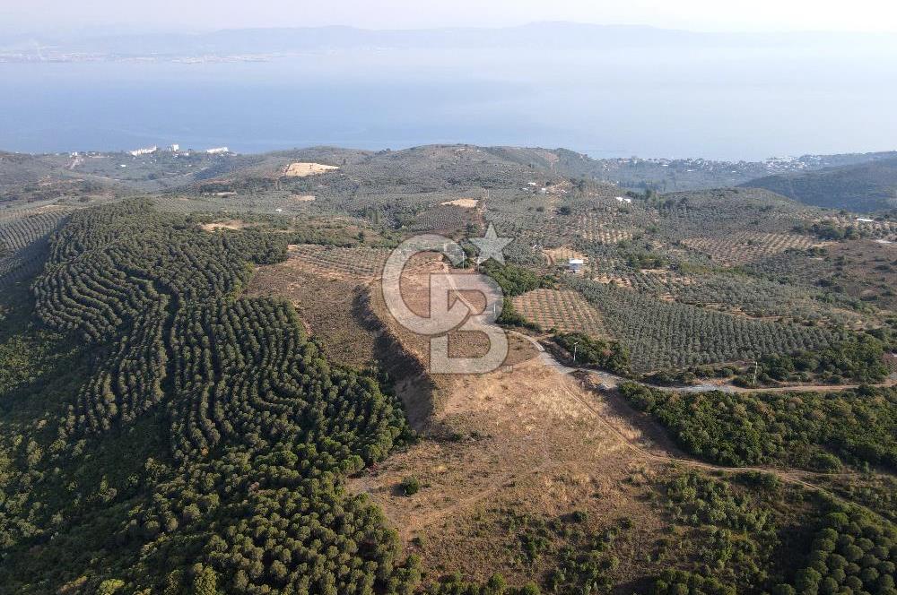 CB EAGLE'dan NARLI'DA 19.944 m² SATILIK SOSYAL TESİS İMARLI ARSA