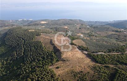 CB EAGLE'dan NARLI'DA 19.944 m² SATILIK SOSYAL TESİS İMARLI ARSA