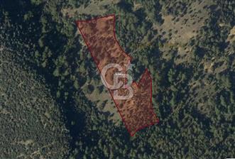 CB EAGLE'dan DURSUNBEY GÖKÇEDAĞ'DA 12.966 m² SATILIK TARLA