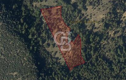 CB EAGLE'dan DURSUNBEY GÖKÇEDAĞ'DA 12.966 m² SATILIK TARLA