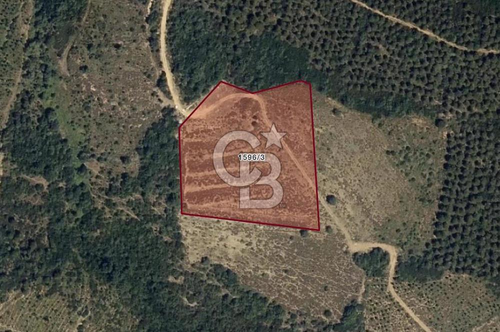 CB EAGLE'dan NARLI'DA 12.422 m² SATILIK SOSYAL TESİS İMARLI ARSA
