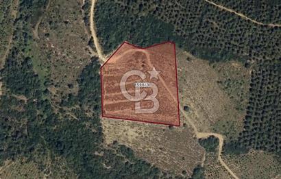 CB EAGLE'dan NARLI'DA 12.422 m² SATILIK SOSYAL TESİS İMARLI ARSA