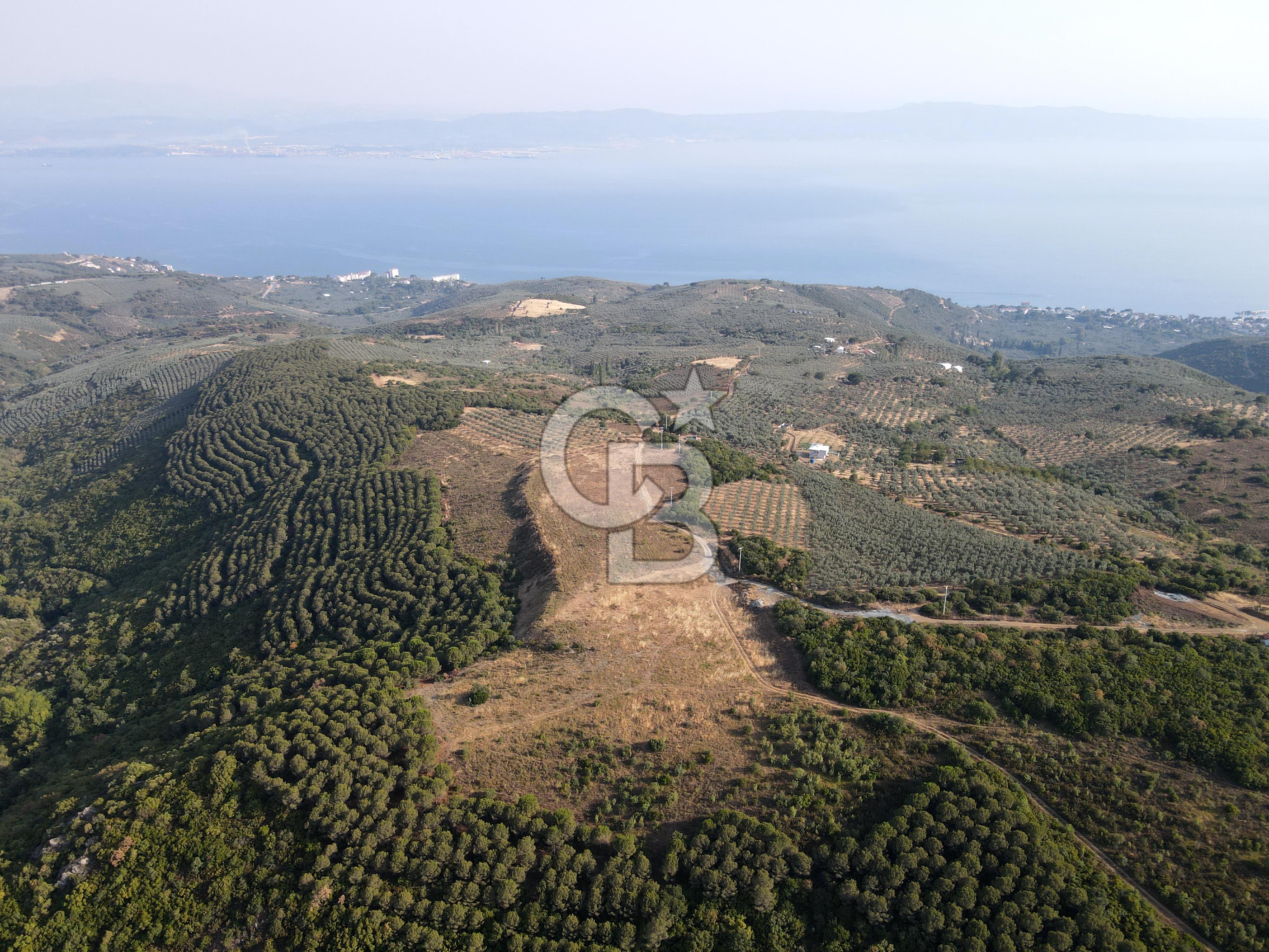 CB EAGLE'dan NARLI'DA 19.944 m² SATILIK SOSYAL TESİS İMARLI ARSA