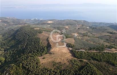 CB EAGLE'dan NARLI'DA 19.944 m² SATILIK SOSYAL TESİS İMARLI ARSA