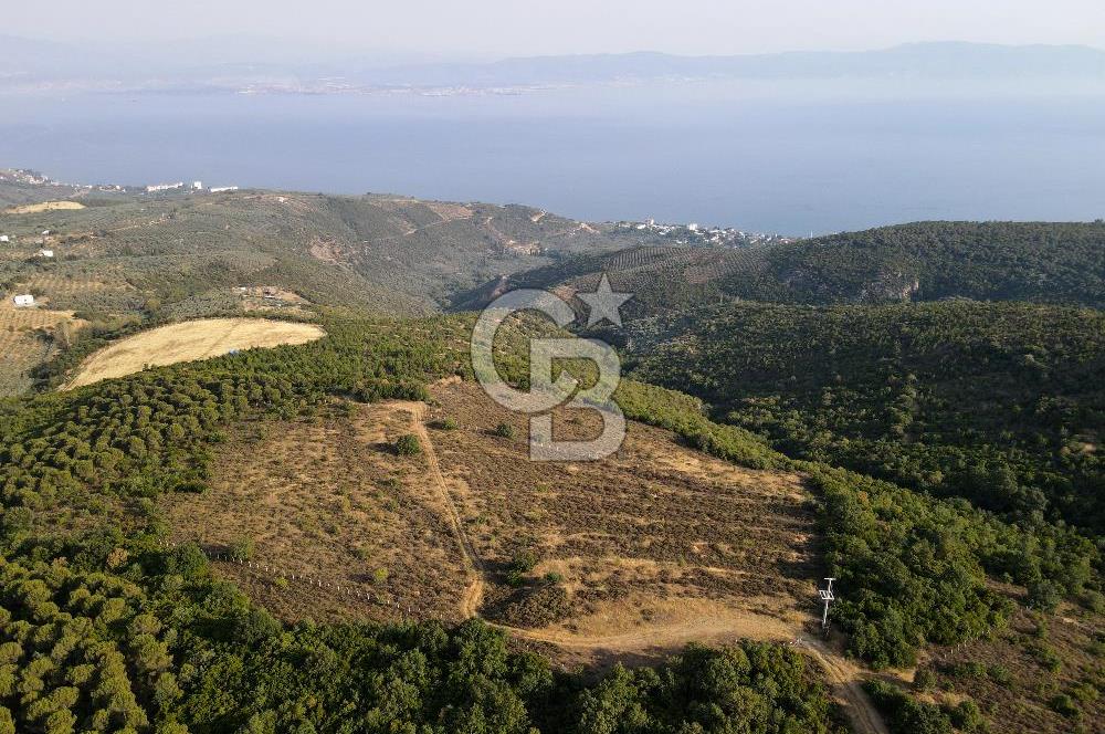 CB EAGLE'dan NARLI'DA 19.944 m² SATILIK SOSYAL TESİS İMARLI ARSA