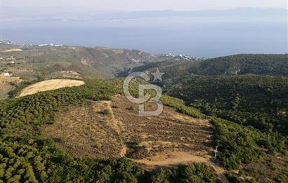 CB EAGLE'dan NARLI'DA 19.944 m² SATILIK SOSYAL TESİS İMARLI ARSA