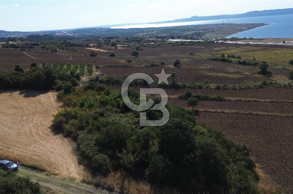 ÇANAKKALE SULUCA'DA BOĞAZ MANZARALI SATILIK TARLA