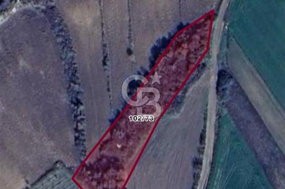 ÇANAKKALE SULUCA'DA BOĞAZ MANZARALI SATILIK TARLA