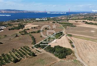 ÇANAKKALE SULUCA'DA BOĞAZ MANZARALI SATILIK TARLA