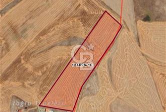 Gölbaşı Mahmatlıbahçede 16.507 m² Tarla, Büyük Parsel Yatırımı