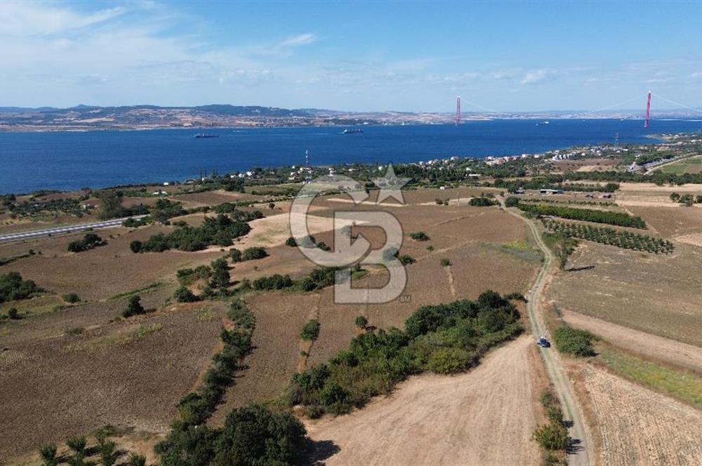 ÇANAKKALE SULUCA'DA BOĞAZ MANZARALI SATILIK TARLA