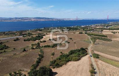 ÇANAKKALE SULUCA'DA BOĞAZ MANZARALI SATILIK TARLA