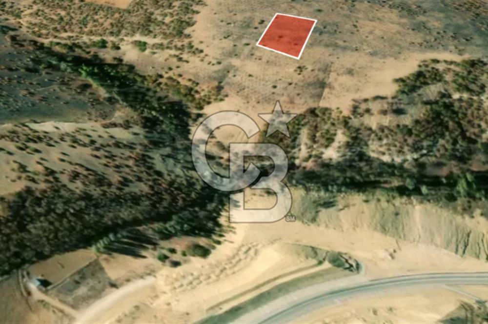 KONYA GÜNEYSINIR HABİLLER’DE 1.419 M2 SATILIK TARLA