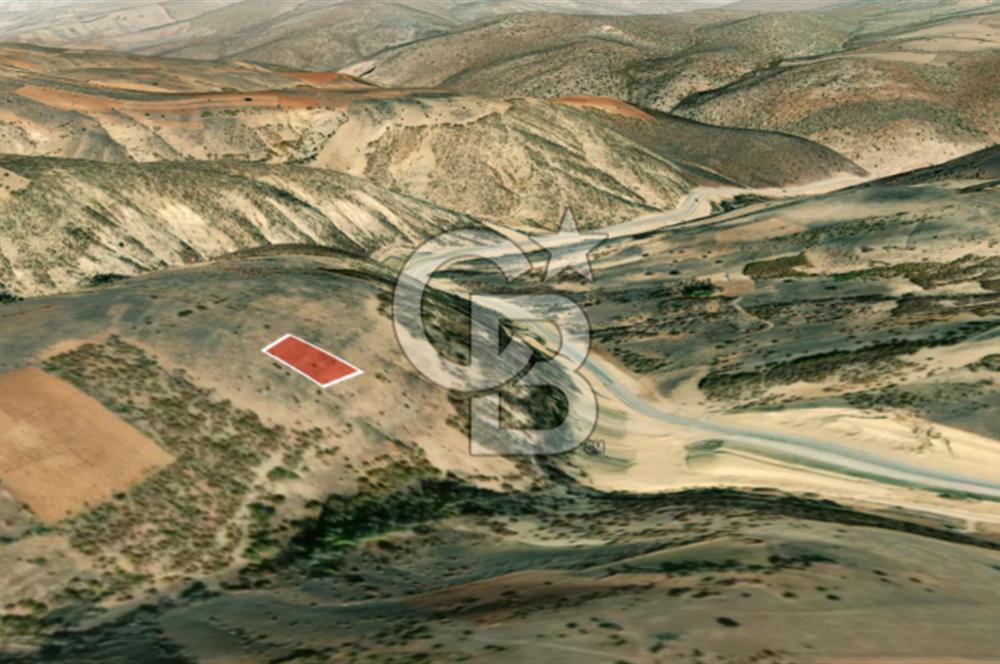 KONYA GÜNEYSINIR HABİLLER’DE 1.419 M2 SATILIK TARLA