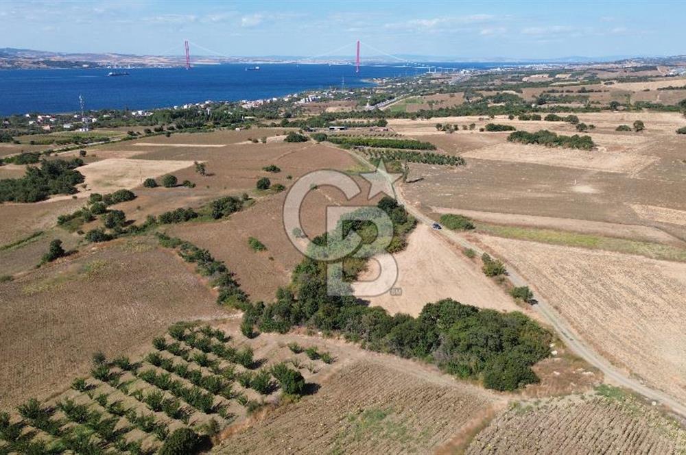 ÇANAKKALE SULUCA'DA BOĞAZ MANZARALI SATILIK TARLA