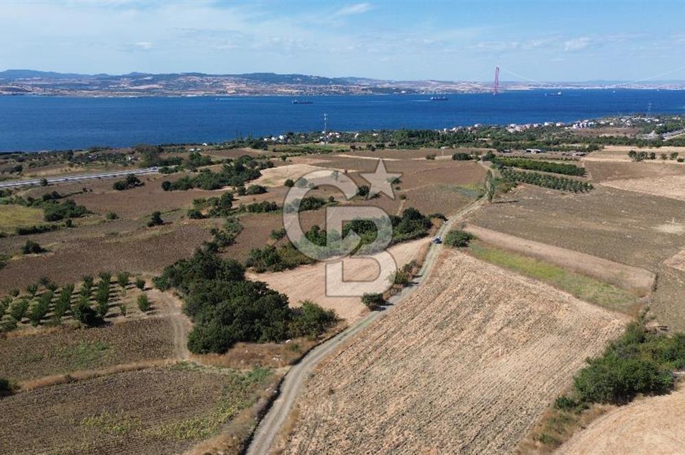 ÇANAKKALE SULUCA'DA BOĞAZ MANZARALI SATILIK TARLA