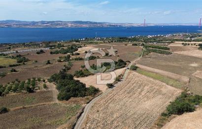 ÇANAKKALE SULUCA'DA BOĞAZ MANZARALI SATILIK TARLA