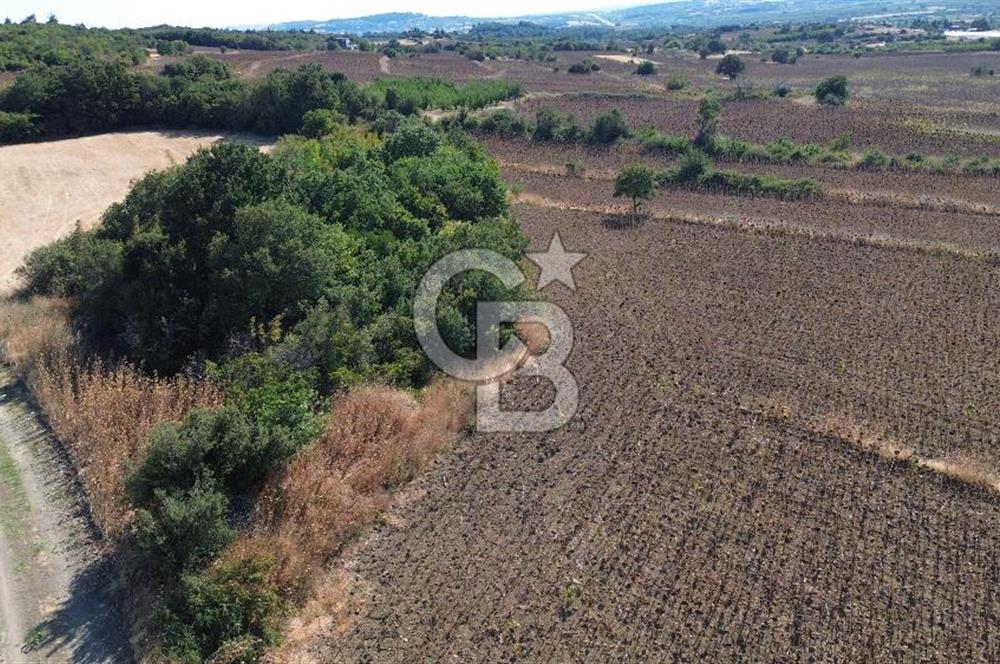 ÇANAKKALE SULUCA'DA BOĞAZ MANZARALI SATILIK TARLA