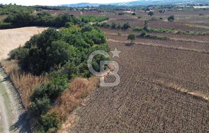 ÇANAKKALE SULUCA'DA BOĞAZ MANZARALI SATILIK TARLA