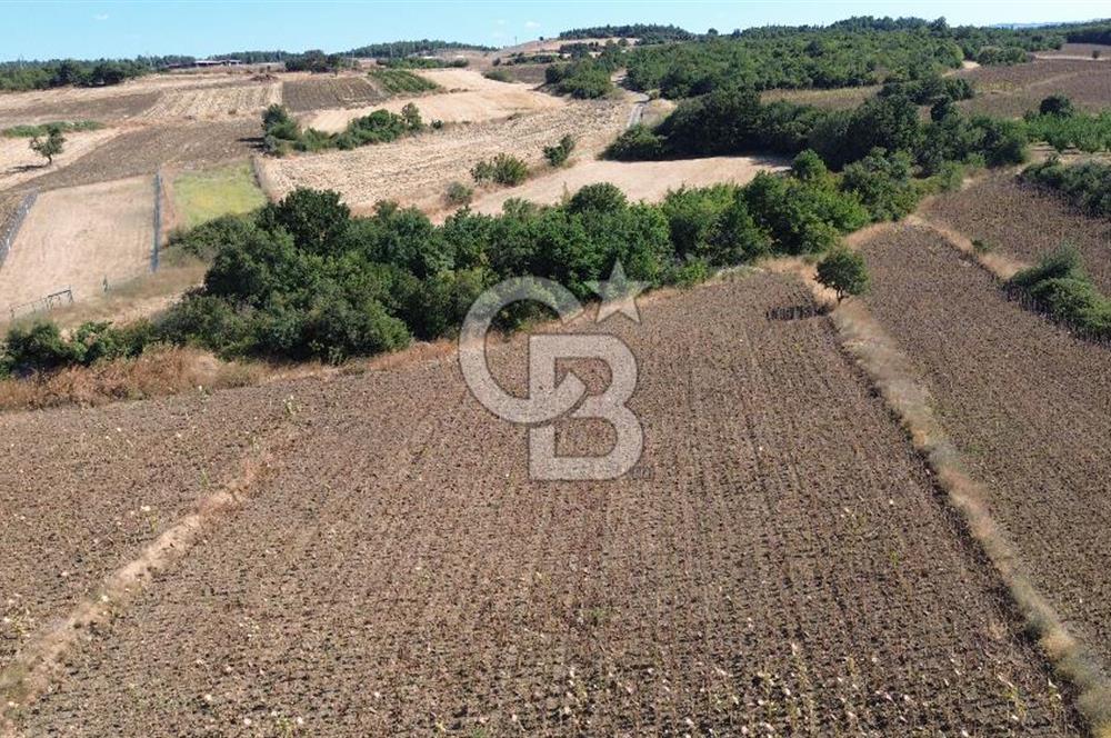 ÇANAKKALE SULUCA'DA BOĞAZ MANZARALI SATILIK TARLA