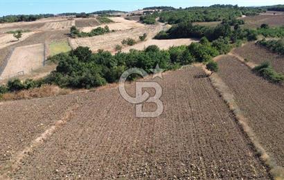 ÇANAKKALE SULUCA'DA BOĞAZ MANZARALI SATILIK TARLA
