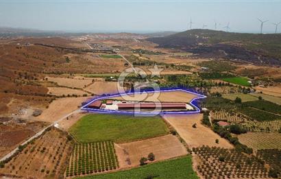 Seferihisar'da İmar Sınırında Satılık 34 Dönüm Çiftlik Arazisi