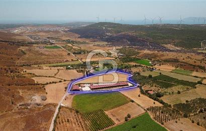 Seferihisar'da İmar Sınırında Satılık 34 Dönüm Çiftlik Arazisi