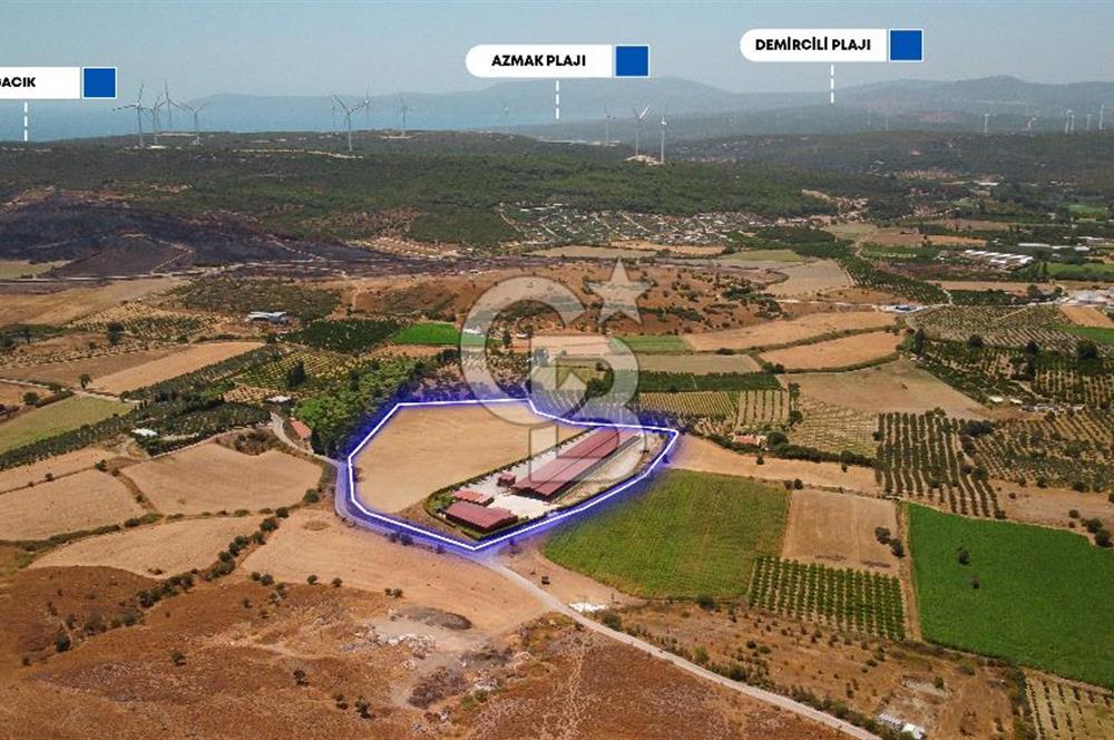 Seferihisar'da İmar Sınırında Satılık 34 Dönüm Çiftlik Arazisi