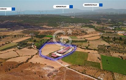 Seferihisar'da İmar Sınırında Satılık 34 Dönüm Çiftlik Arazisi
