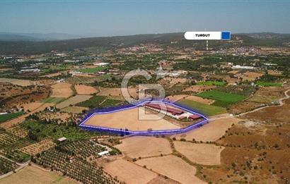 Seferihisar'da İmar Sınırında Satılık 34 Dönüm Çiftlik Arazisi