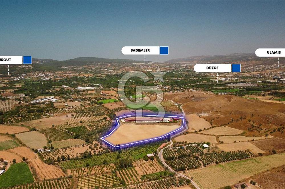 Seferihisar'da İmar Sınırında Satılık 34 Dönüm Çiftlik Arazisi