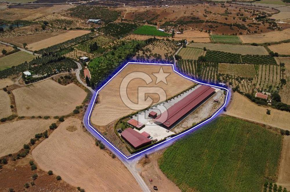 Seferihisar'da İmar Sınırında Satılık 34 Dönüm Çiftlik Arazisi