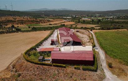 Seferihisar'da İmar Sınırında Satılık 34 Dönüm Çiftlik Arazisi