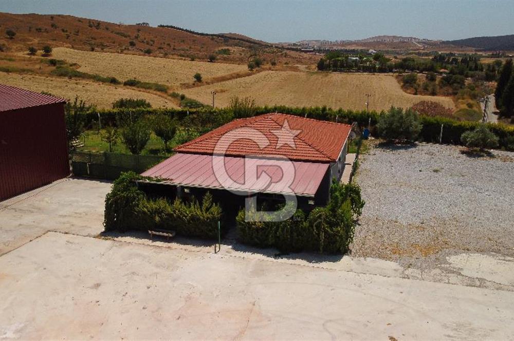 Seferihisar'da İmar Sınırında Satılık 34 Dönüm Çiftlik Arazisi