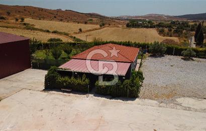 Seferihisar'da İmar Sınırında Satılık 34 Dönüm Çiftlik Arazisi