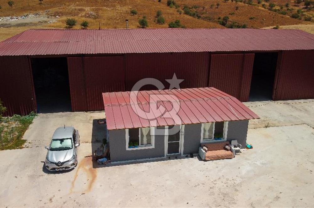 Seferihisar'da İmar Sınırında Satılık 34 Dönüm Çiftlik Arazisi