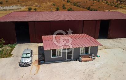 Seferihisar'da İmar Sınırında Satılık 34 Dönüm Çiftlik Arazisi