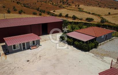 Seferihisar'da İmar Sınırında Satılık 34 Dönüm Çiftlik Arazisi