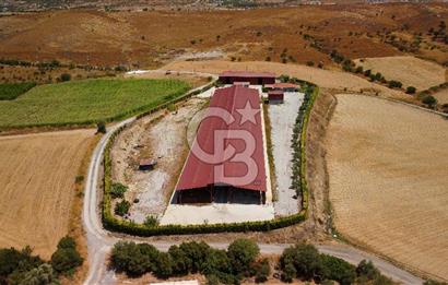 Seferihisar'da İmar Sınırında Satılık 34 Dönüm Çiftlik Arazisi