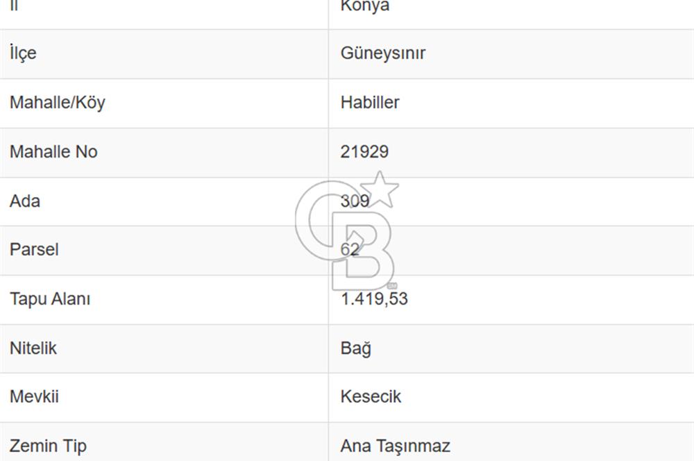 KONYA GÜNEYSINIR HABİLLER’DE 1.419 M2 SATILIK TARLA