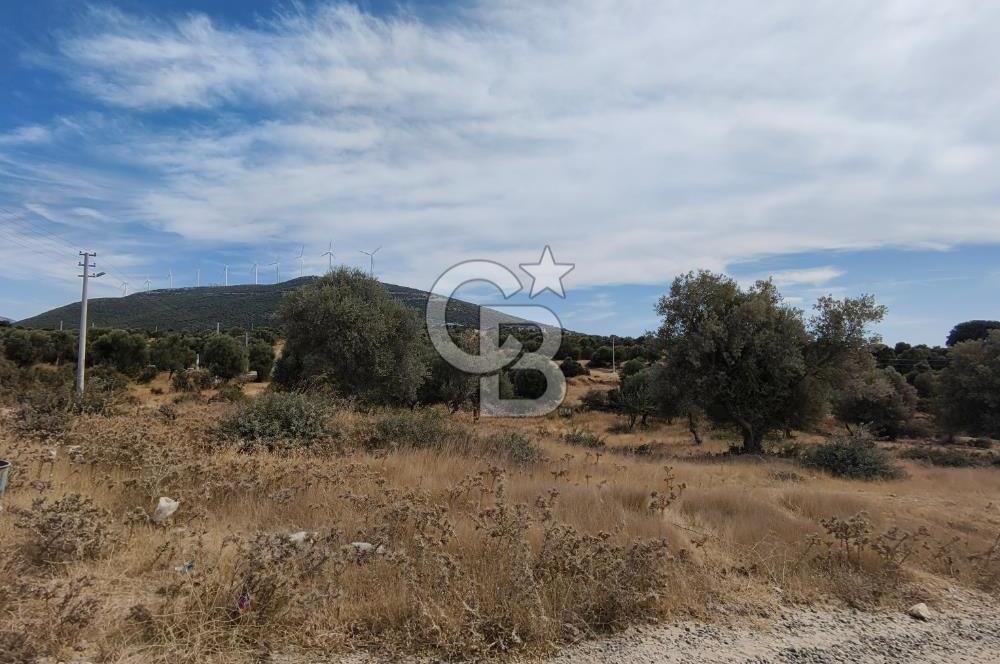 YEŞİLTEPE TİCARİ ARSA