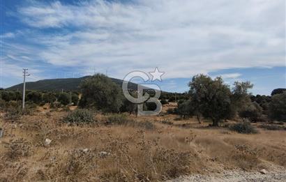 YEŞİLTEPE TİCARİ ARSA
