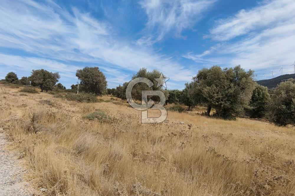 YEŞİLTEPE TİCARİ ARSA