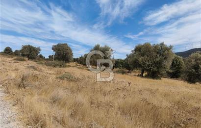 YEŞİLTEPE TİCARİ ARSA
