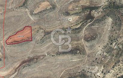 KARAMAN MERKEZ MEDRESELİK KÖYÜ'NDE 12.500M2 SATILIK TARLA