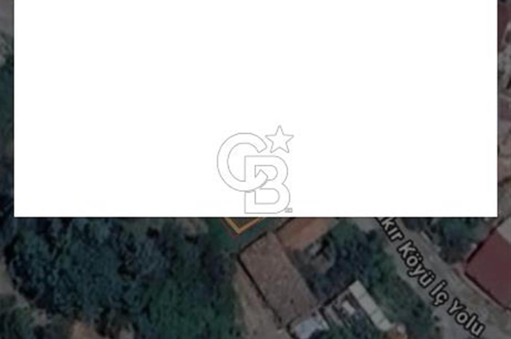 İlçe merkezinde Tapuda ev kayıtlı (fiziken ev yok) 221 m2 bahçe